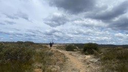 Psalm 72 to wyjątkowa partytura nadziei