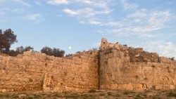 Rovine nell'area archeologica confiscata a Sebastia (foto: Pro Terra Sancta)