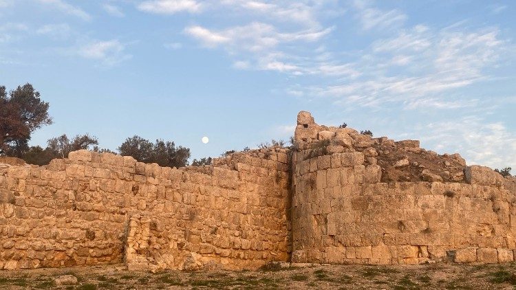Rovine nell'area archeologica confiscata a Sebastia (foto: Pro Terra Sancta)