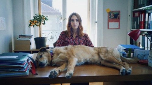 Unser Filmtipp: Hundschuldig