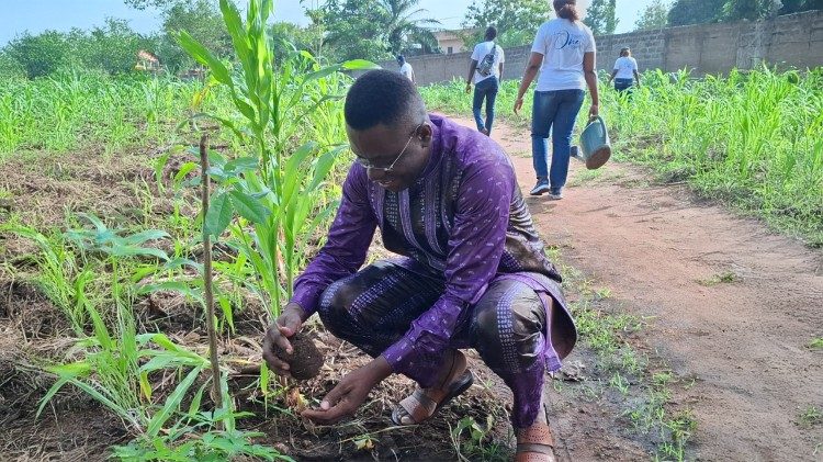 Vue partielle de journalistes et communicants catholiques mettant en terre des plants de fruitiers et essences forestières au Sanctuaire marial Notre-Dame de la divine miséricorde, le 1er juin 2025.
