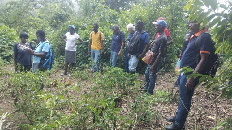 Una formación llevada adelante por un agrónomo que trabaja con las tres religiosas.