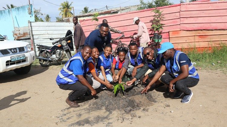 Plantar árvores para salvar o planeta