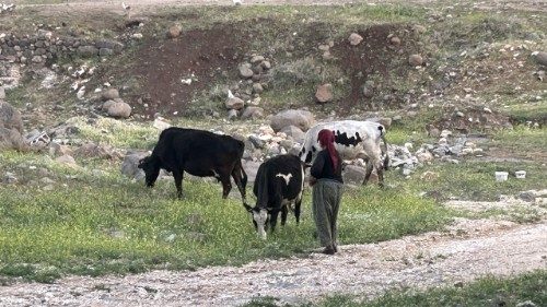 En la Turquía siríaca, la diáspora y el regreso