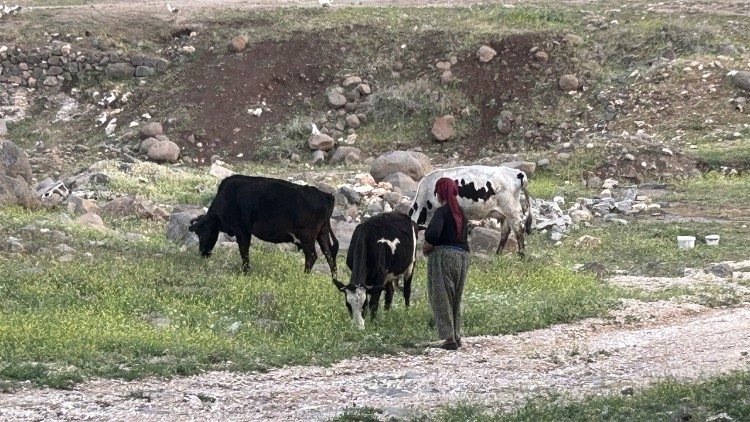 2025.06.16 EP_3 TURCHIA SIRIACA