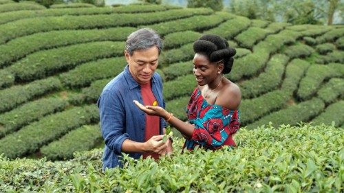 Unser Filmtipp: Black Tea