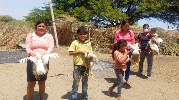 I polli inviati dall'amministratore apostolico Prevost alla gente povera di Callao