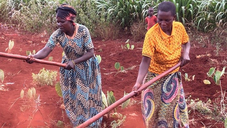 Frauen bei der Feldarbeit (Foto: Stefan Hauser)
