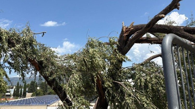 Uništen perivoj ispred crkve i samostana sv. Ante u Splitu  (Foto: Franjevačka kustodija sv. Jeronima, Zadar)
