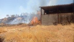 Un champ incendié en juillet dernier à Taybeh.