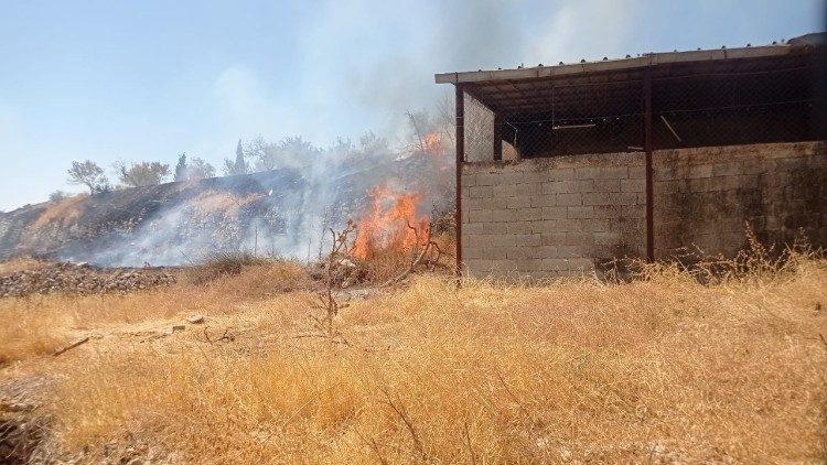Un champ incendié en juillet dernier à Taybeh.