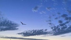 Alarma por los drones sobre los cielos de Dinamarca y Noruega