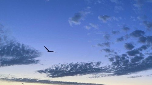 Allarme in nord Europa: droni nei cieli di Danimarca e Norvegia 