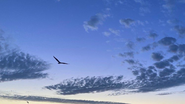 Alarma por los drones sobre los cielos de Dinamarca y Noruega