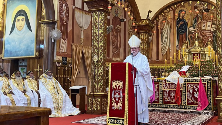 L'archevêque Paul Richard Gallagher prononçant son homélie lors de la messe des 72e célébrations de Mar Ivanios en Inde.