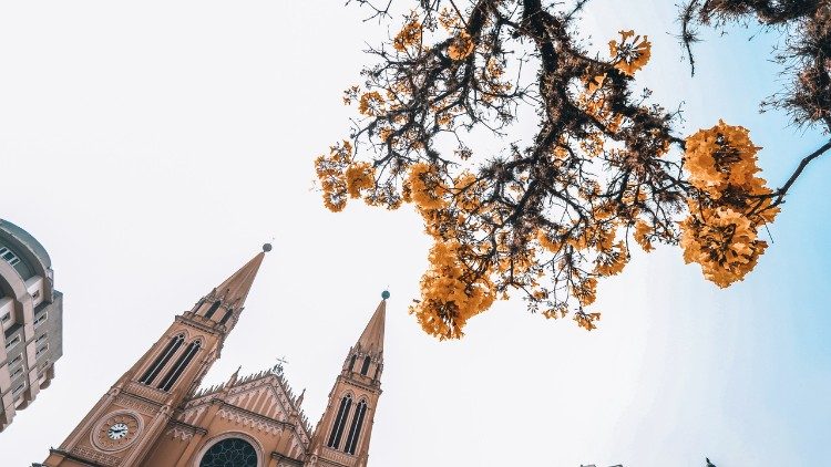 Arquidiocese de Curitiba será a sede do 7º Congresso Americano Missionário (CAM7) 