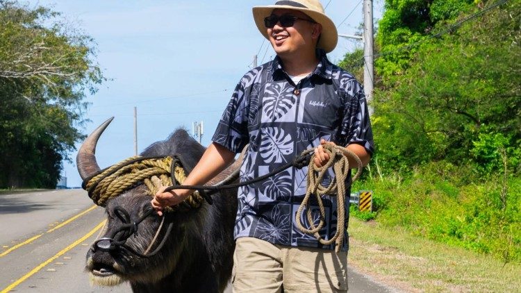 Frankie with his pet water buffalo