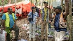 National Forest Inventory Botany team members tag and record plant specimens collected the previous day at the NFI camp near Kupiano, Papua New Guinea.