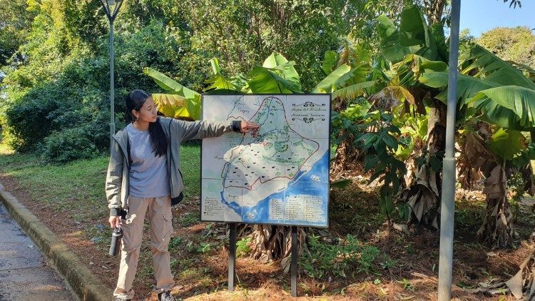 Település az esőerdőben