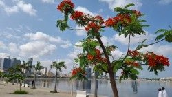 Luanda, Capital de Angola - foto Lusofonias