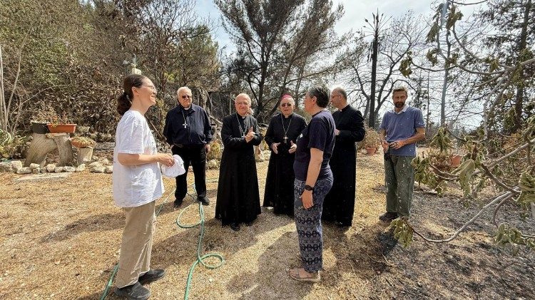 Los efectos de los incendios en Tierra Santa