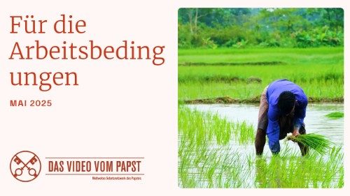 Gebetsmeinung im Mai: Würdige Arbeit als Schlüssel zur Gerechtigkeit