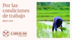 2025.05.05 Video del Papa mes de Mayo