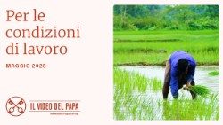 2025.05.05 Video intenzioni di preghiera del Papa "per le condizioni di lavoro"