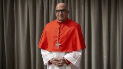 സന്ധ്യാഗൊ ദെ ചിലി അതിരൂപതയുടെ ആർച്ചുബിഷപ്പ് കർദ്ദിനാൾ ഫെർണാണ്ടൊ ഗാരിബ് ചൊമലീ