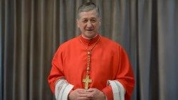 Cardinal Blase Cupich, Archbishop of Chicago