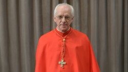 Le cardinal Jozef De Kesel, archevêque émérite de Malines-Bruxelles. 