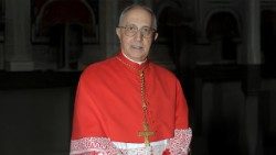 Cardenal Fernando Filoni 