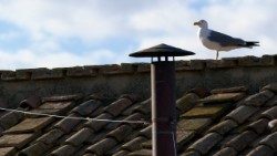 Il comignolo della Cappella Sistina