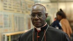 Кардынал Рабер Сара