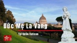 2025.05.11 DM Lavang- vietnam