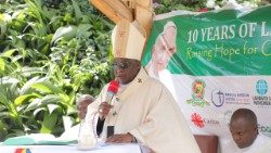 Archbishop Paul Ssemogerere at Laudato Si’ 10th anniversary
