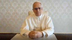 2025.05.20 videomessaggio del Papa all'incontro in Brasile sulla Laudato si'