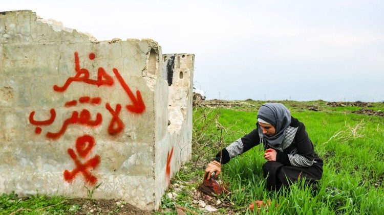 (Photo courtesy of The HALO Trust)