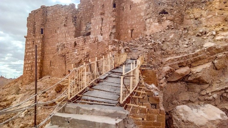 Palmira (foto de Halo Trust)