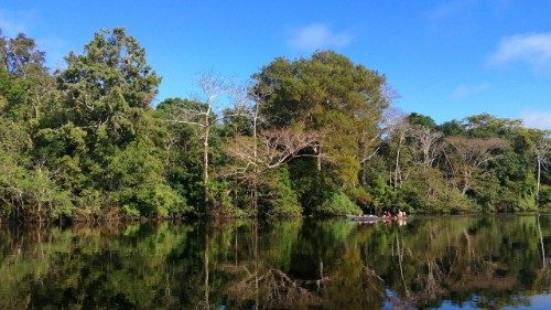 Lusofonias. Laudato sì, Encíclica do Papa Francisco, dez anos depois
