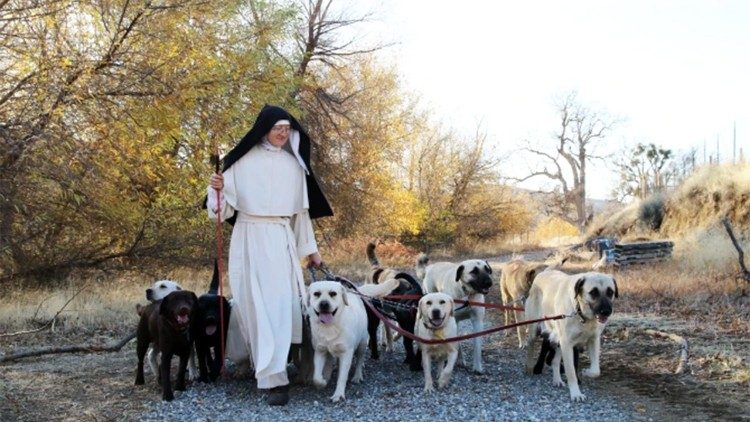 Siostry norbertanki poświęcają się modlitwie oraz pracy - m.in. hodowli psów