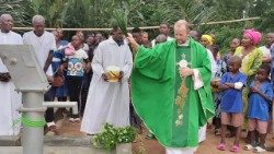 Poświęcenie studni w Bialesse wybudowanej dzięki akcji wiernych z Podkarpacia