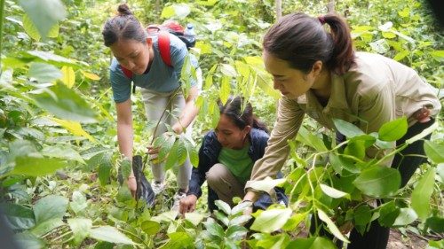 Members of the Society of the Divine Word (SVD) care for creation on Indonesia’s Flores island