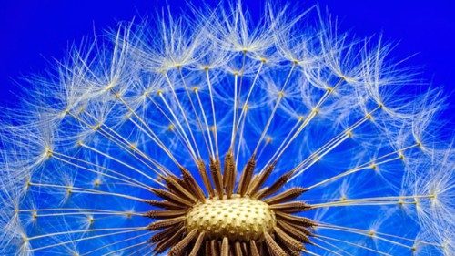 Bayern soll eigene Strukturen zur unabhängigen Aufarbeitung schaffen