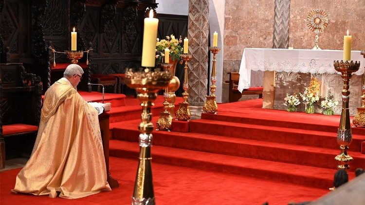 Zadarski nadbiskup Milan Zgrablić pred Presvetim (Foto: lnes Grbić)