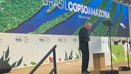 Cardinal Parolin at COP30: Greater political will needed to address climate change