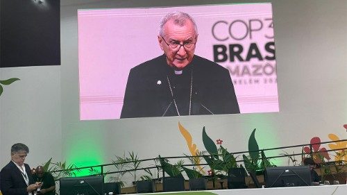 Cumbre del Clima, Parolin: los objetivos del Acuerdo de París aún están lejos