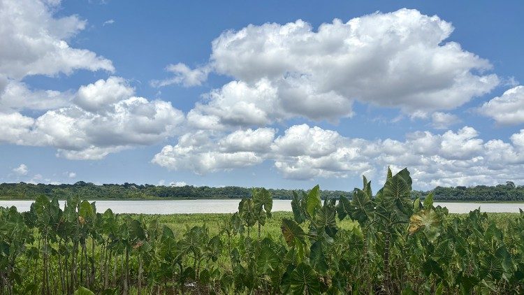 Igarapé Água Preta River