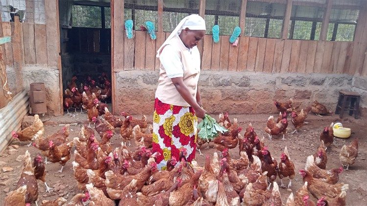 परियोजनाओं में स्थापित फार्मों में से एक मुर्गीपालन है।