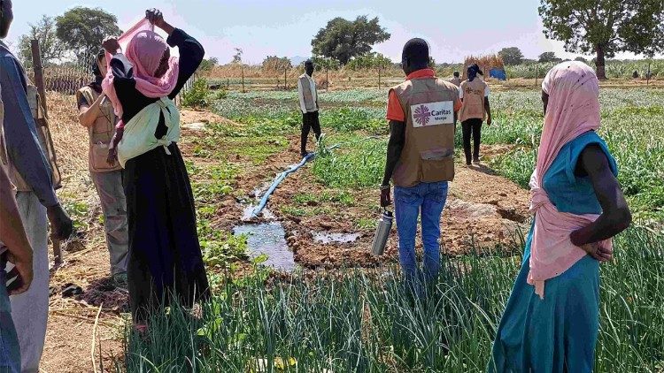 Caritas Mongo sur le terrain pour accompagner des projets de jardins potagers, des groupes de femmes réfugiées et de femmes issues des communautés locales tchadiennes. 